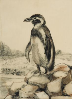 Pinguïn -zonder lijst-