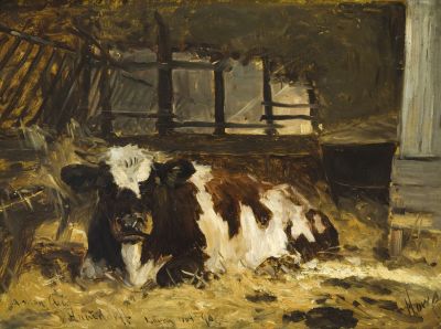 Koe in de stal